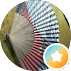 DODO XEE的原評價公開頭像